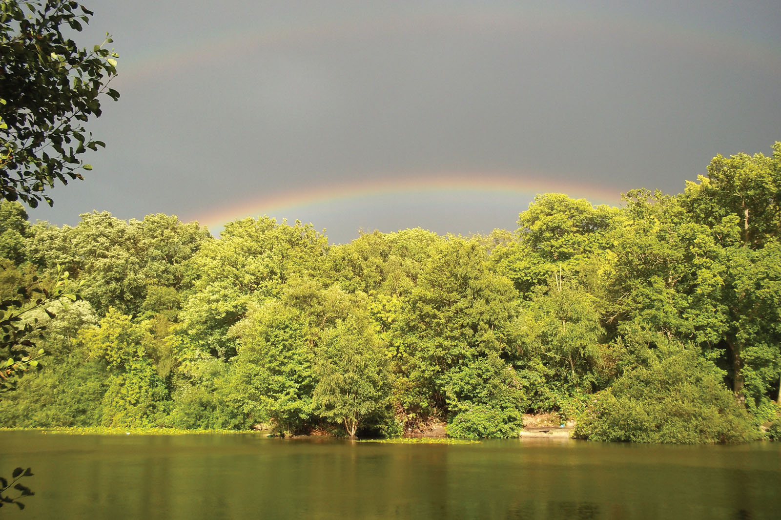 Rainy day Rainbow over Sherwood Lake
