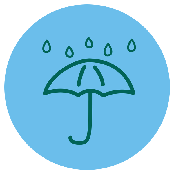 adaptation-icon Adaptation icon