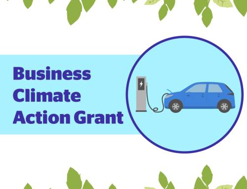 Business Climate Action Grant